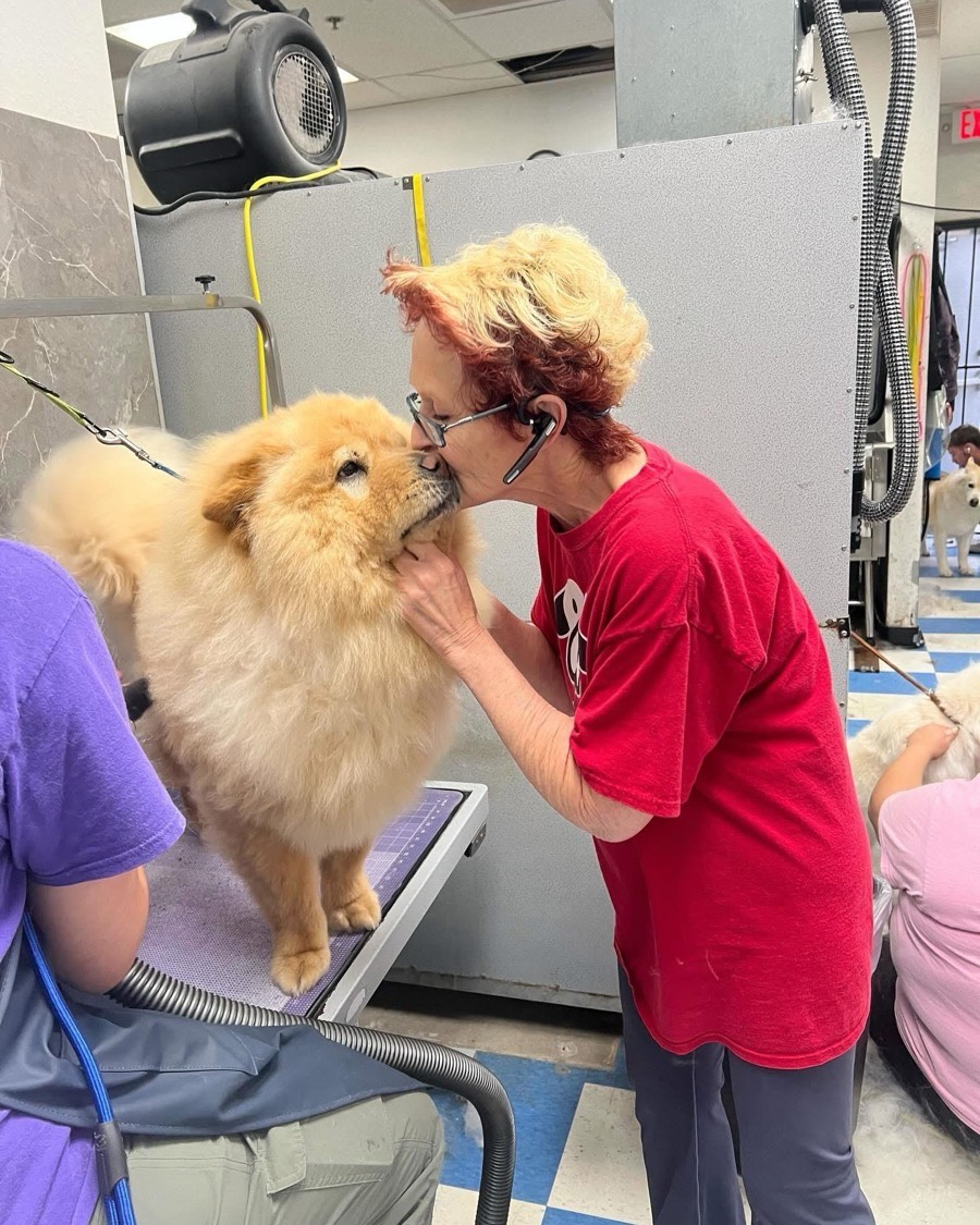 Pat, who has groomed for 49 years, giving a fluffy chow a kiss on the nose at the grooming table.