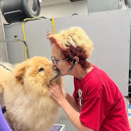 Pat, groomer of 49 years, giving a chow a kiss on the nose.